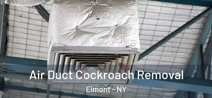 Air Duct Cockroach Removal Elmont - NY