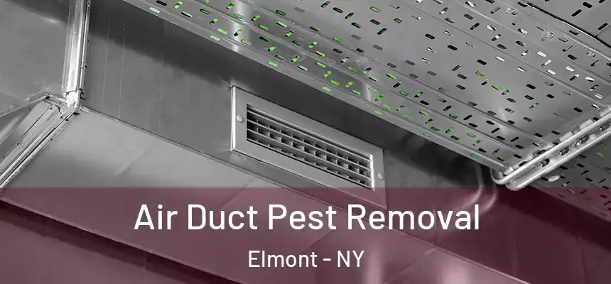  Air Duct Pest Removal Elmont - NY