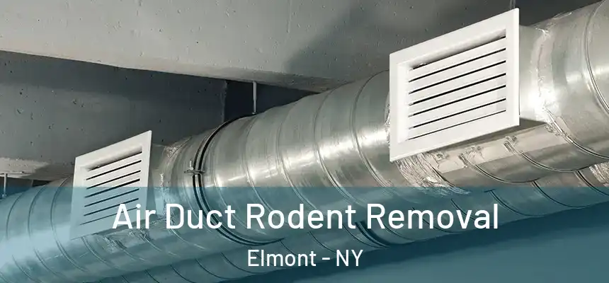  Air Duct Rodent Removal Elmont - NY