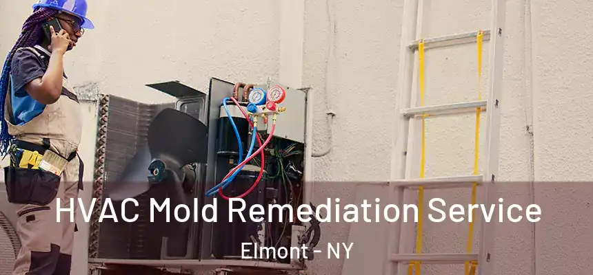  HVAC Mold Remediation Service Elmont - NY