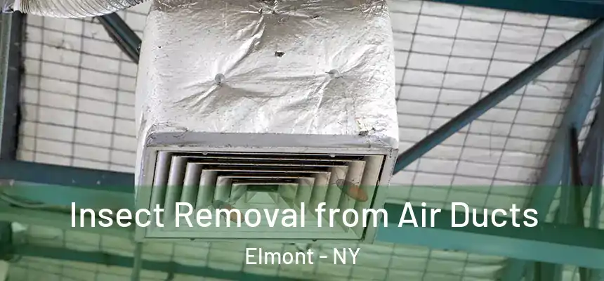  Insect Removal from Air Ducts Elmont - NY