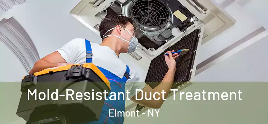  Mold-Resistant Duct Treatment Elmont - NY