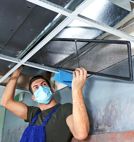 About Air Duct Bacteria Removal in Elmont