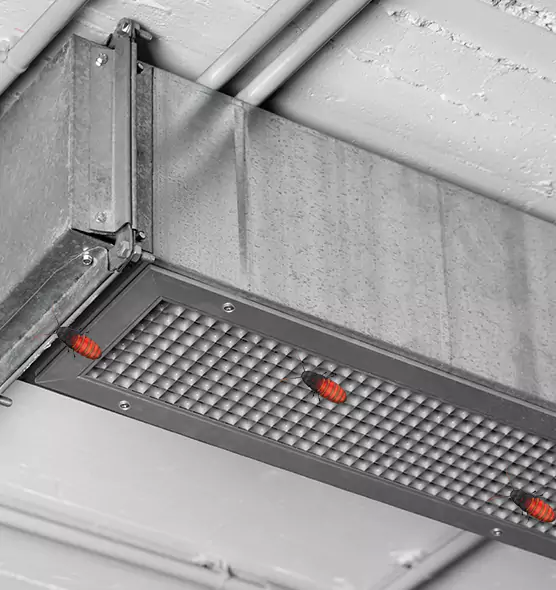 About Air Duct Cockroach Removal in Elmont, NY