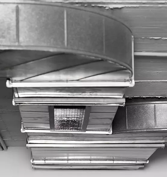 Professional Air Duct Pest Removal in Elmont, NY