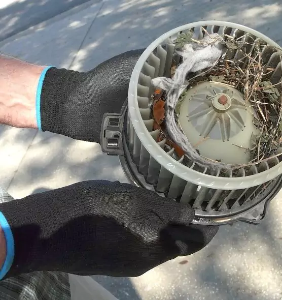 About Air Duct Rat Removal in Elmont, NY