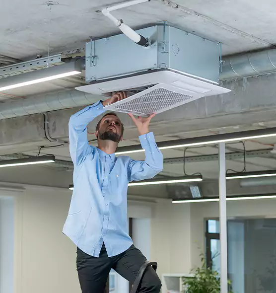 Advanced Rodent Droppings In Vents in Elmont, NY