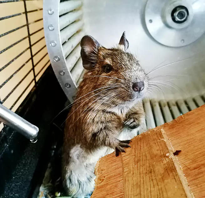 Why Homeowners & Businesses Trust Us Elmont, NY?